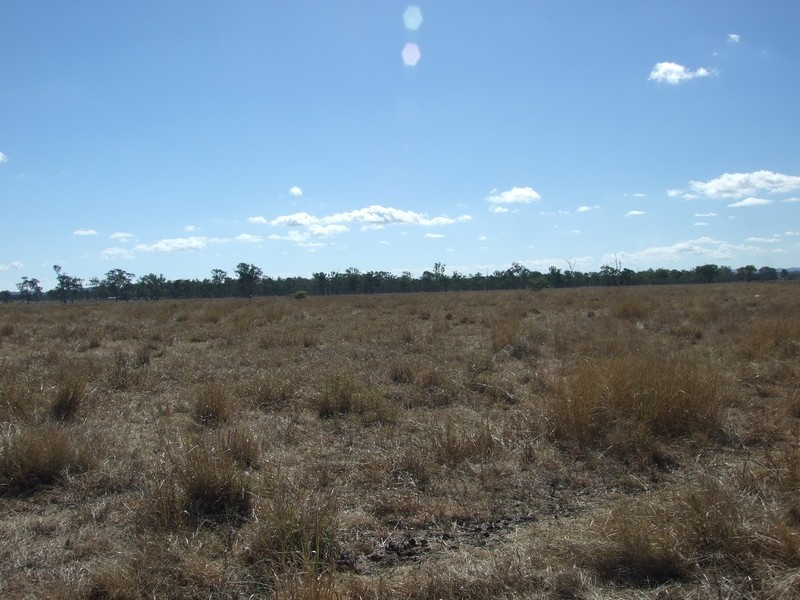 Alton Downs-Nine Mile Road, Alton Downs QLD 4702