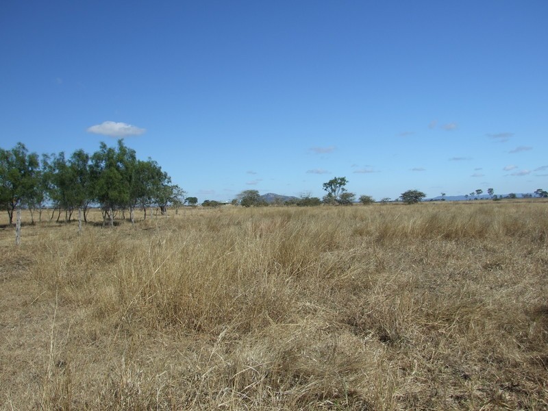 Alton Downs-Nine Mile Road, Alton Downs QLD 4702