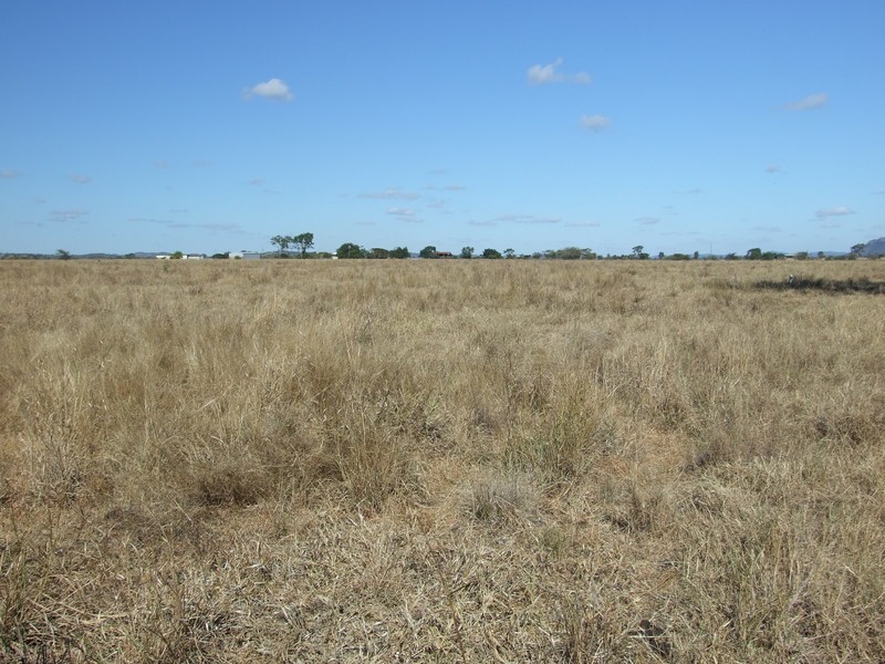 Alton Downs-Nine Mile Road, Alton Downs QLD 4702