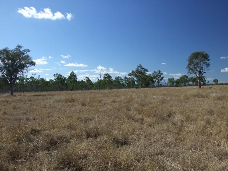 Alton Downs-Nine Mile Road, Alton Downs QLD 4702