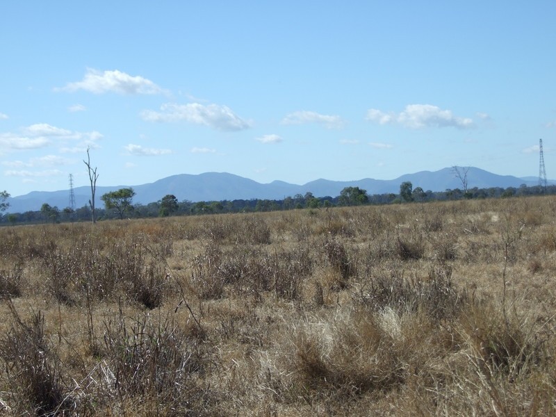 Alton Downs-Nine Mile Road, Alton Downs QLD 4702