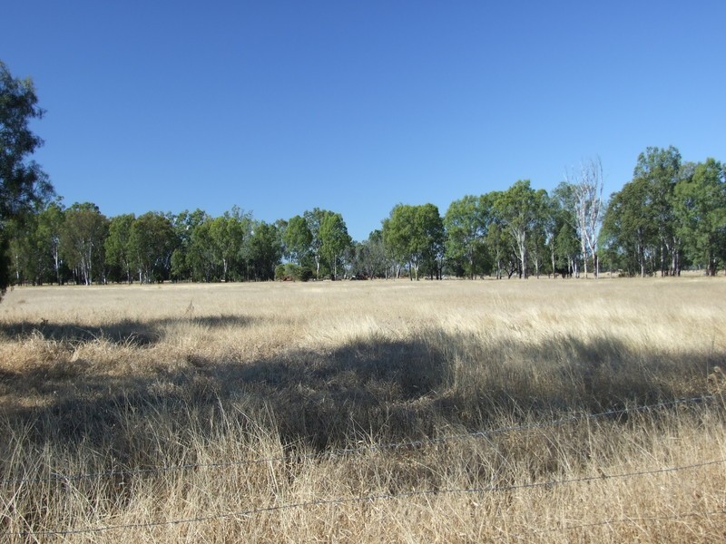 665 Wowan-Dululu Road, Wowan QLD 4702