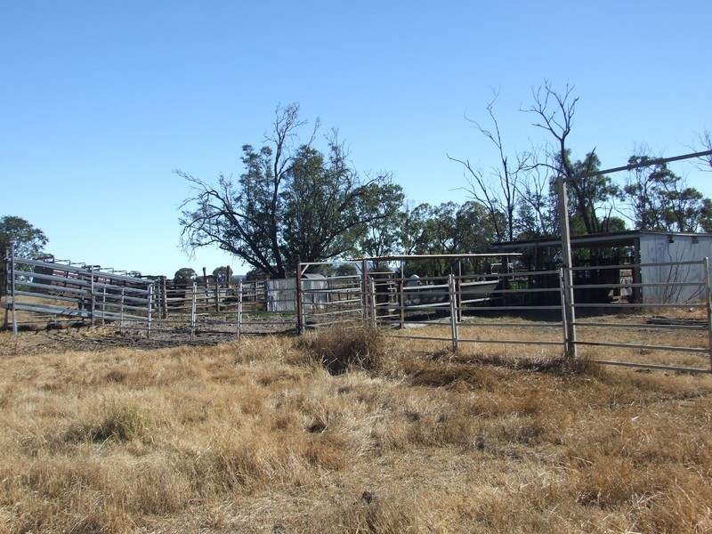 665 Wowan-Dululu Road, Wowan QLD 4702