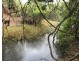 14B Bull frog Lane, Bajool QLD 4699
