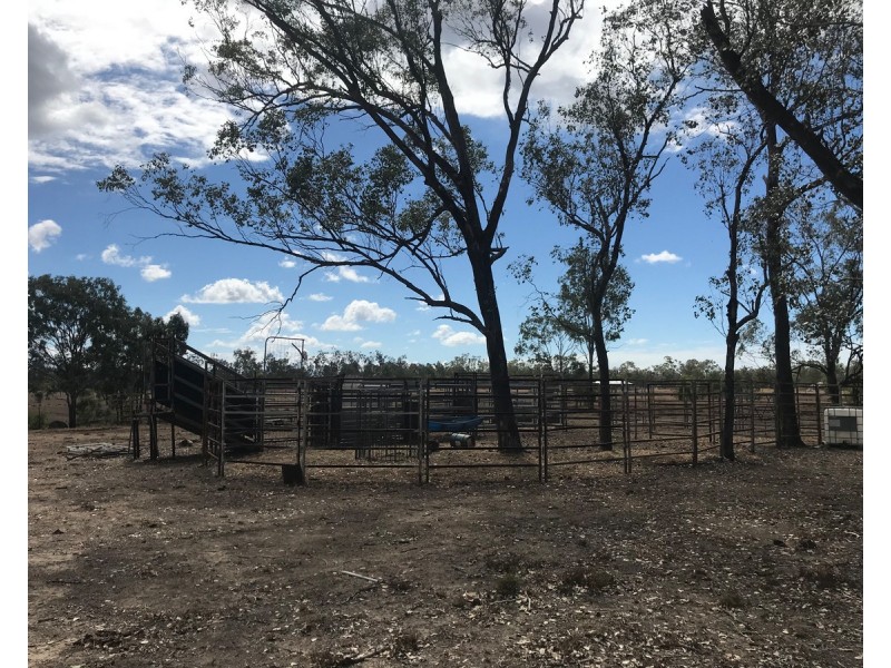 14B Bull frog Lane, Bajool QLD 4699