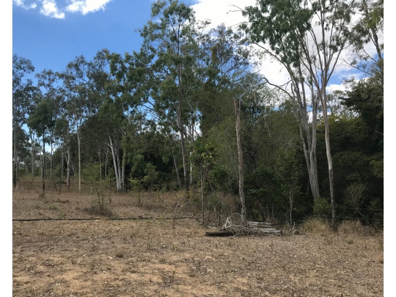 14B Bull frog Lane, Bajool QLD 4699