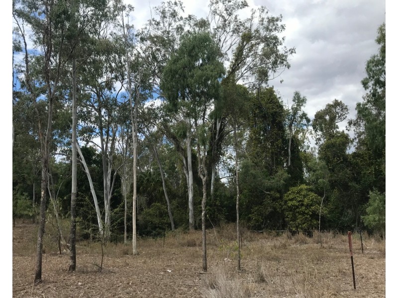 14B Bull frog Lane, Bajool QLD 4699