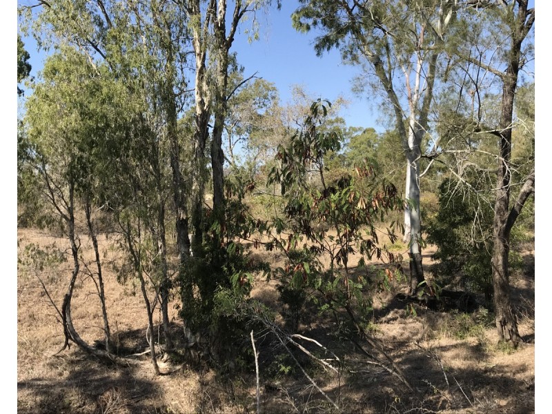 30 Morgan Road, Kalapa QLD 4702
