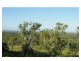 305 Fairmont Terrace, Rockyview QLD 4701