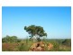 305 Fairmont Terrace, Rockyview QLD 4701