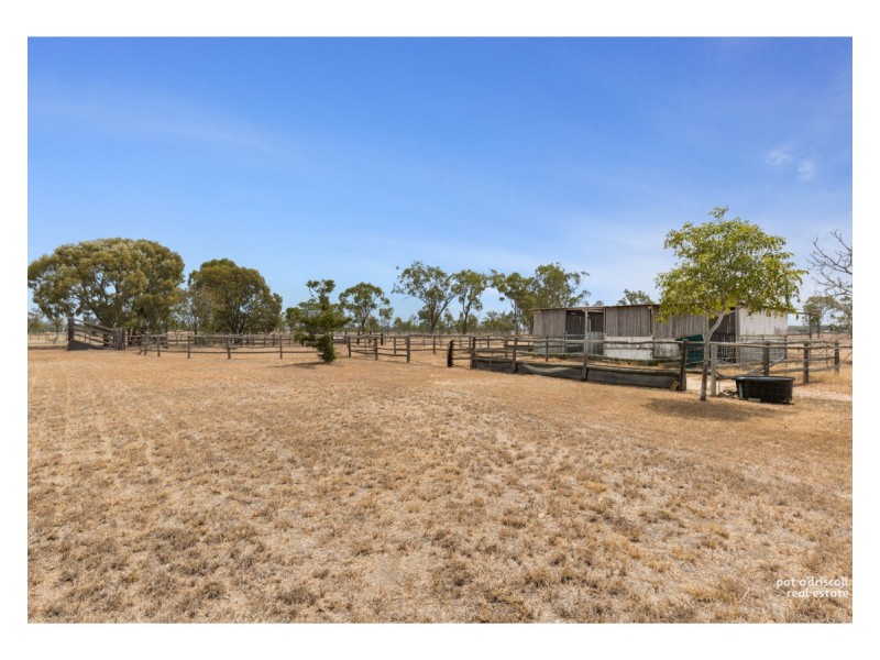 462 Alton Downs- Nine Mile Road, Alton Downs QLD 4702