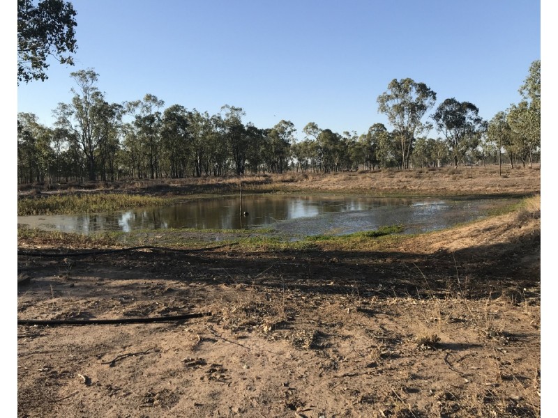 462 Alton Downs- Nine Mile Road, Alton Downs QLD 4702