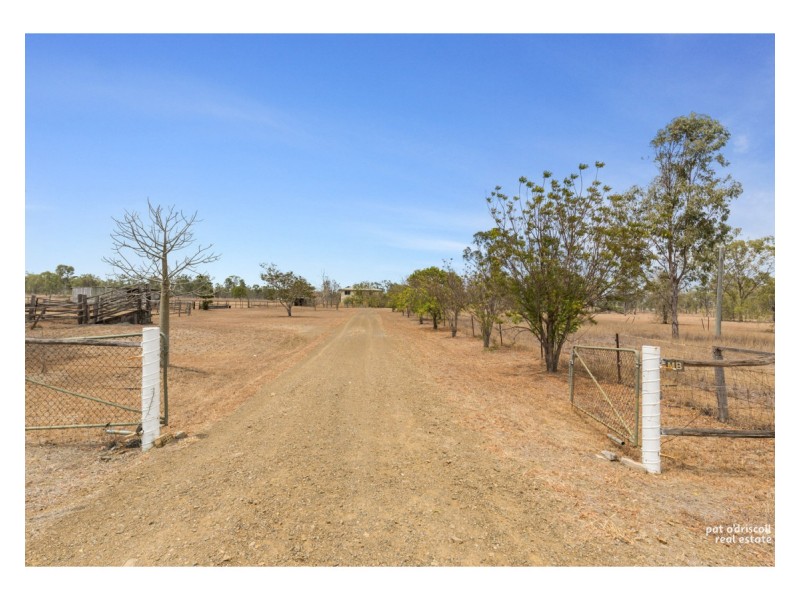462 Alton Downs- Nine Mile Road, Alton Downs QLD 4702