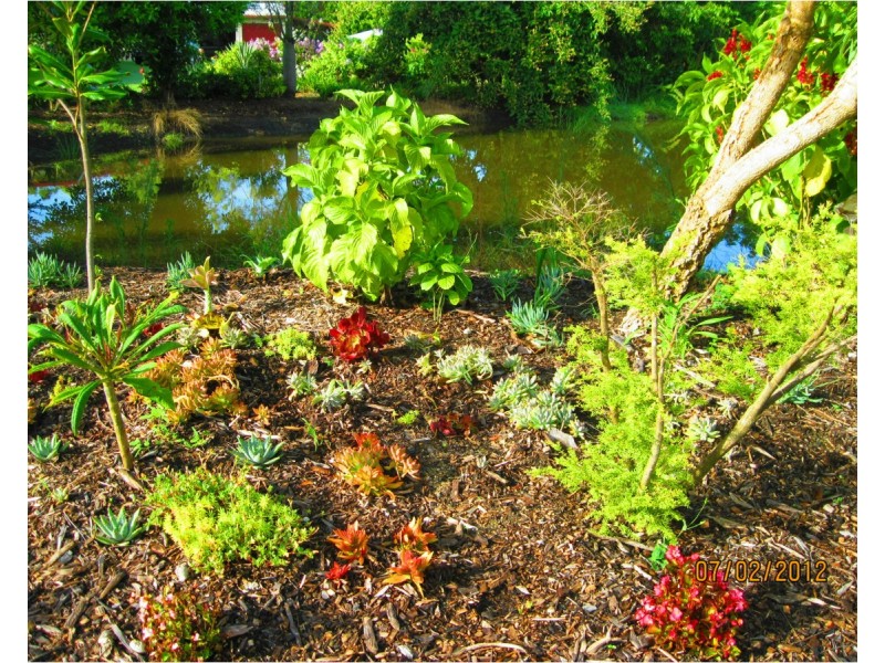 1958 Yeppoon Road, Mulara QLD 4703