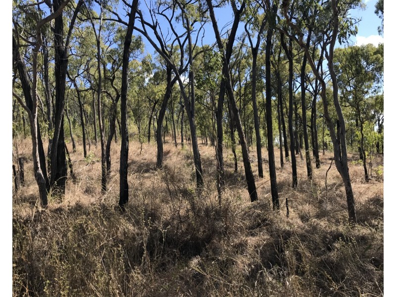 Bruce Highway, Clairview QLD 4741