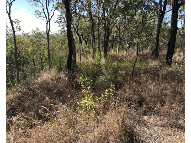 Bruce Highway, Clairview QLD 4741