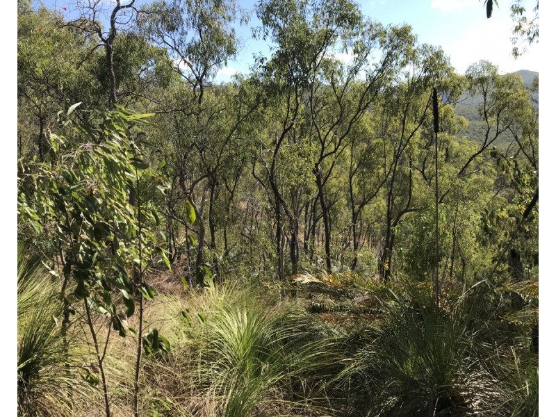 Bruce Highway, Clairview QLD 4741
