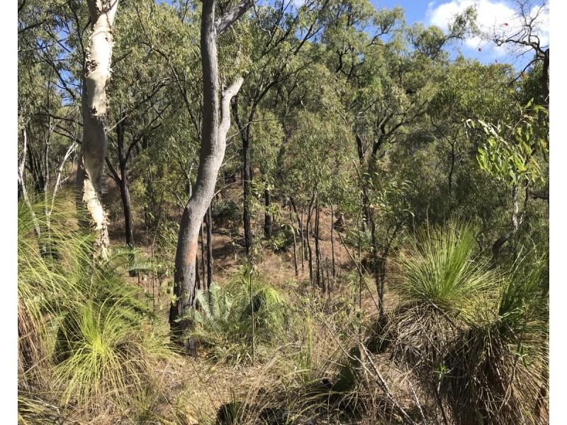 Bruce Highway, Clairview QLD 4741