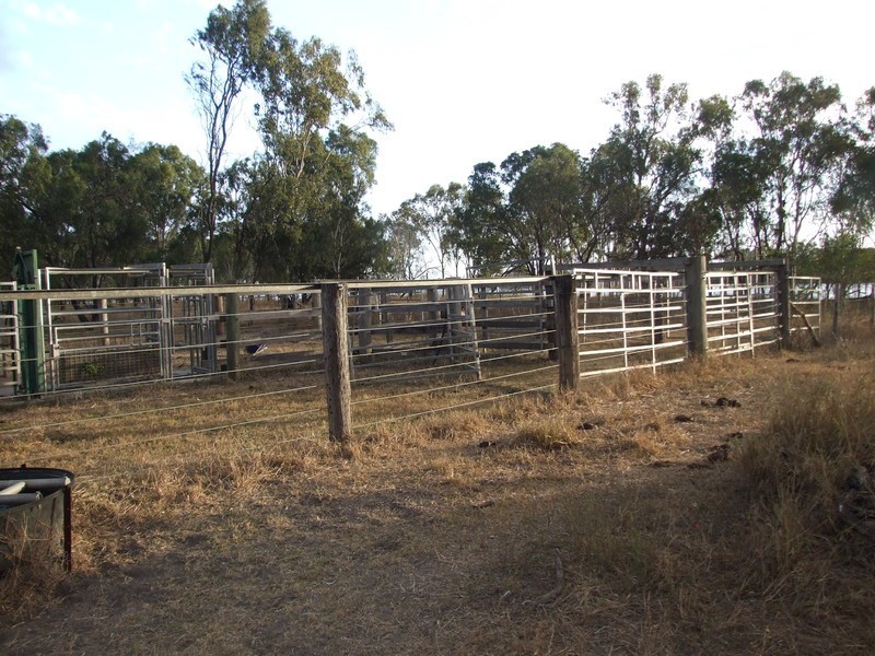 139 Von Allmen Road, Pink Lily QLD 4702