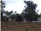 139 Von Allmen Road, Pink Lily QLD 4702