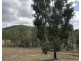 235 Fire Creek Road, Raglan QLD 4697