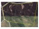 235 Fire Creek Road, Raglan QLD 4697