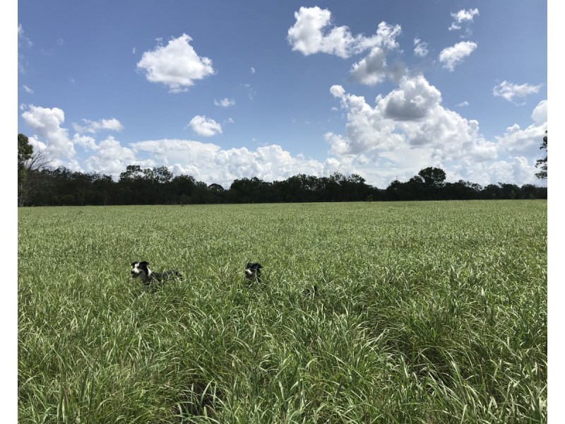 287 Brickworks Road, Kalapa QLD 4702