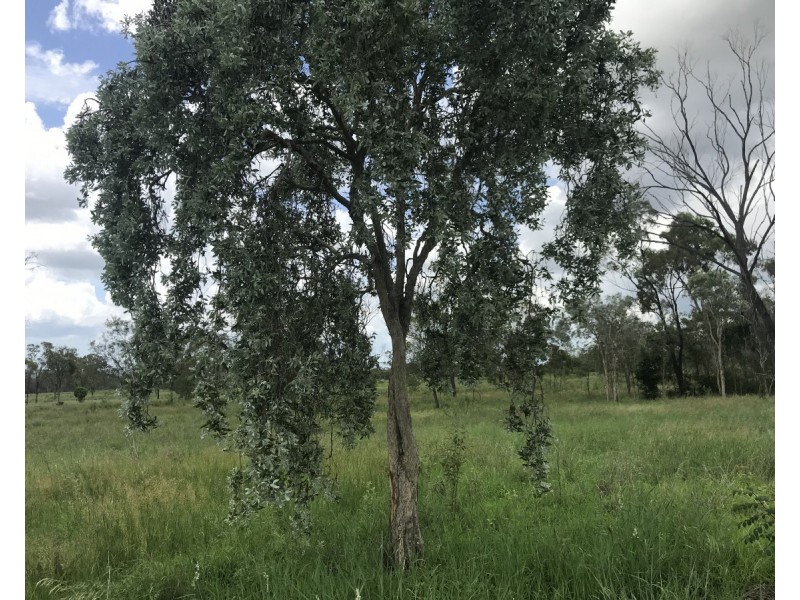 287 Brickworks Road, Kalapa QLD 4702