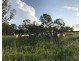 197 Brickworks Road, Bushley QLD 4702