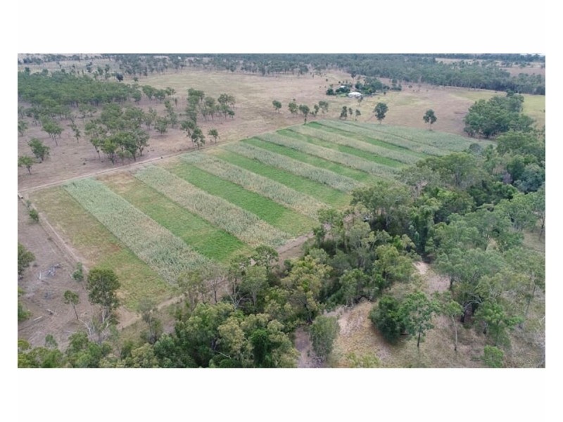197 Brickworks Road, Bushley QLD 4702