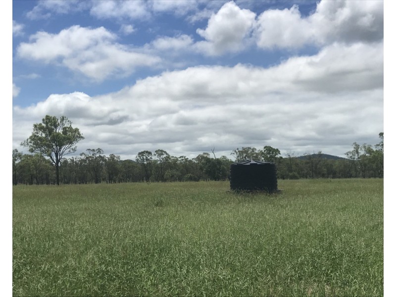 197 Brickworks Road, Bushley QLD 4702