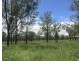 197 Brickworks Road, Bushley QLD 4702