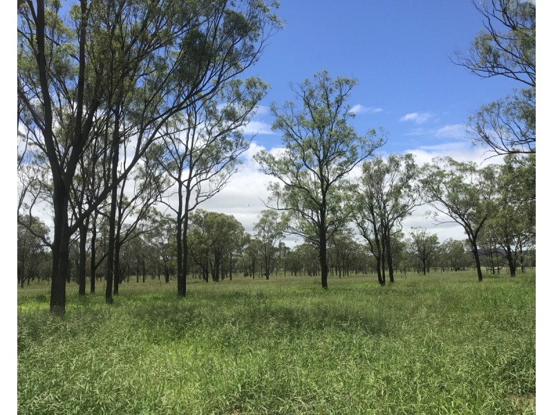 197 Brickworks Road, Bushley QLD 4702