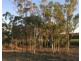 197 Brickworks Road, Bushley QLD 4702
