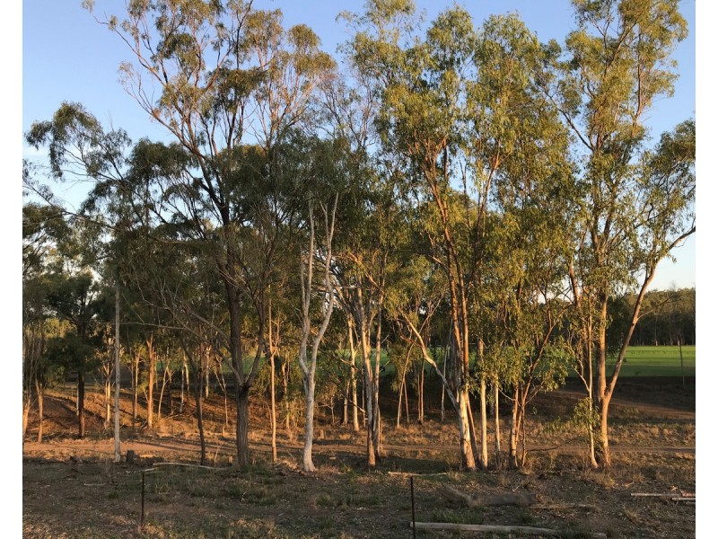 197 Brickworks Road, Bushley QLD 4702