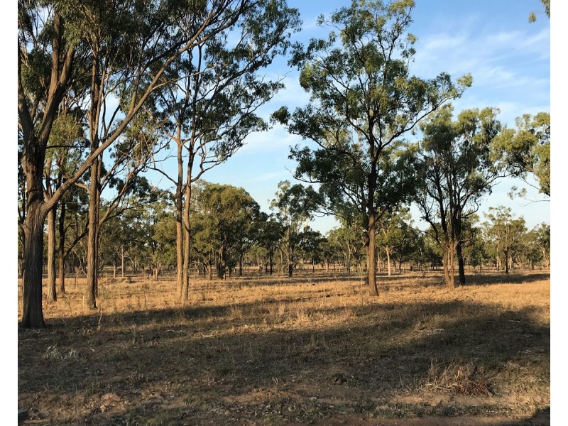 197 Brickworks Road, Bushley QLD 4702