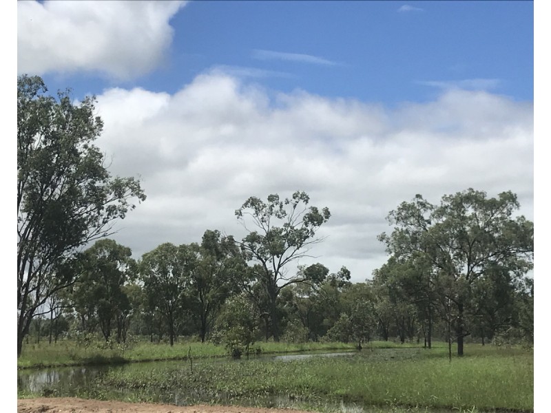 197 Brickworks Road, Bushley QLD 4702