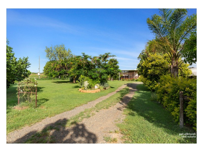 121 Boongary Road, Gracemere QLD 4702