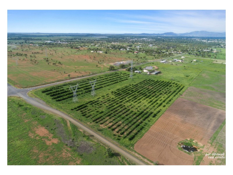 121 Boongary Road, Gracemere QLD 4702