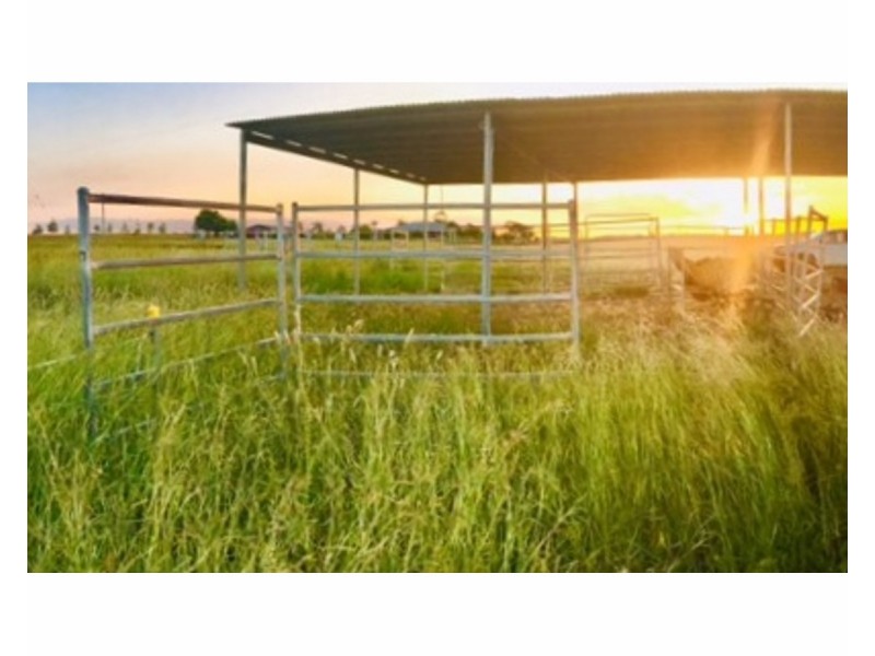 165 Pandora Road, Alton Downs QLD 4702