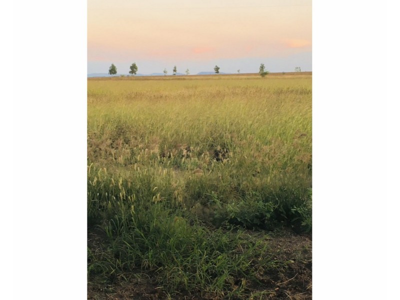 165 Pandora Road, Alton Downs QLD 4702