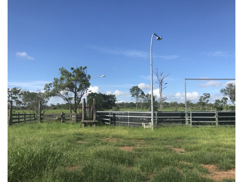 5 Spragg Road, Alton Downs QLD 4702