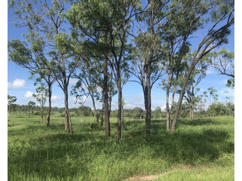 5 Spragg Road, Alton Downs QLD 4702