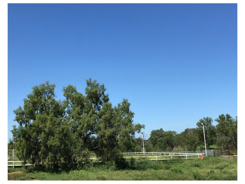 110 Mills Road, Gogango QLD 4702