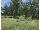110 Mills Road, Gogango QLD 4702