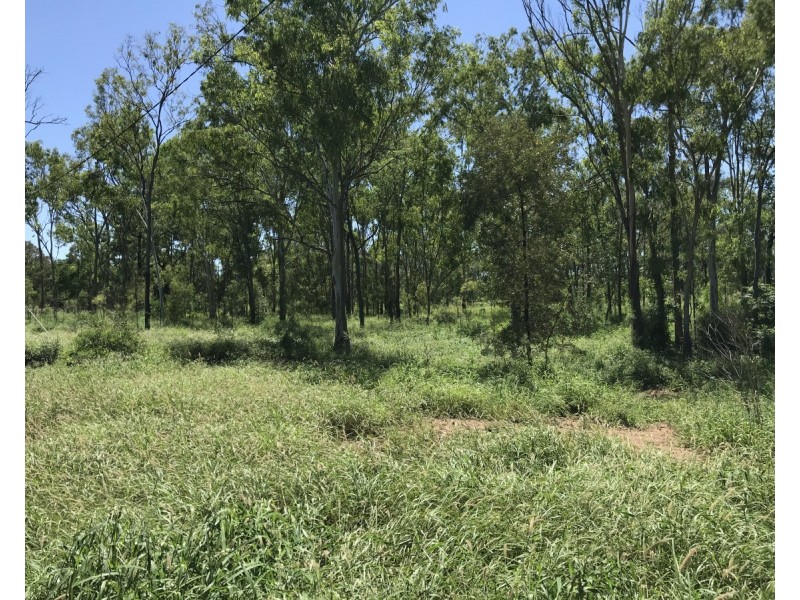 110 Mills Road, Gogango QLD 4702