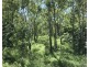 110 Mills Road, Gogango QLD 4702