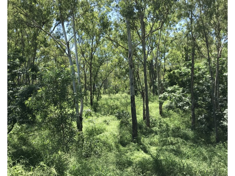 110 Mills Road, Gogango QLD 4702