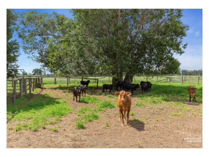 649 & 669 Belmont Road, Glenlee QLD 4711