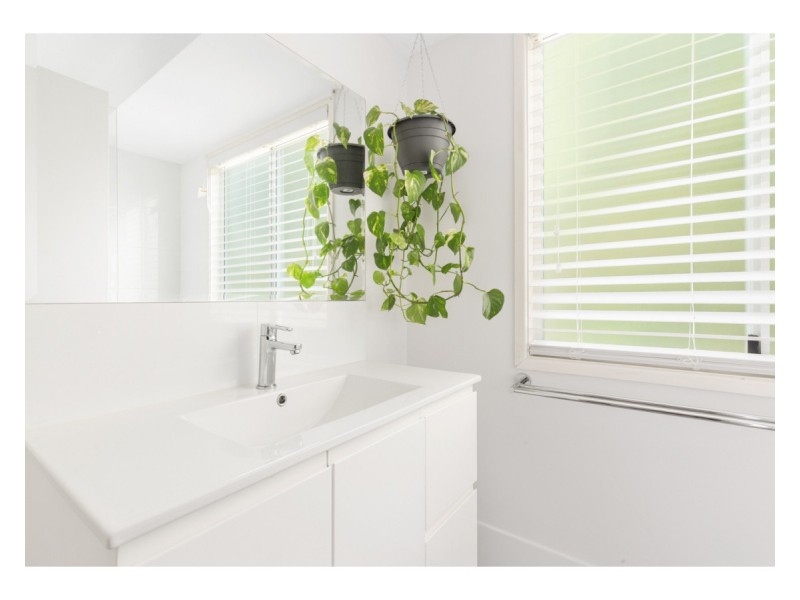 8/374 Limpus Street, Frenchville QLD 4701